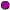 Purple Circle