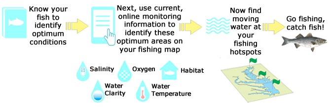 Flowchart outlining the 8-step process for using water quality data to find fish. These 8 steps are detailed in the sections below.