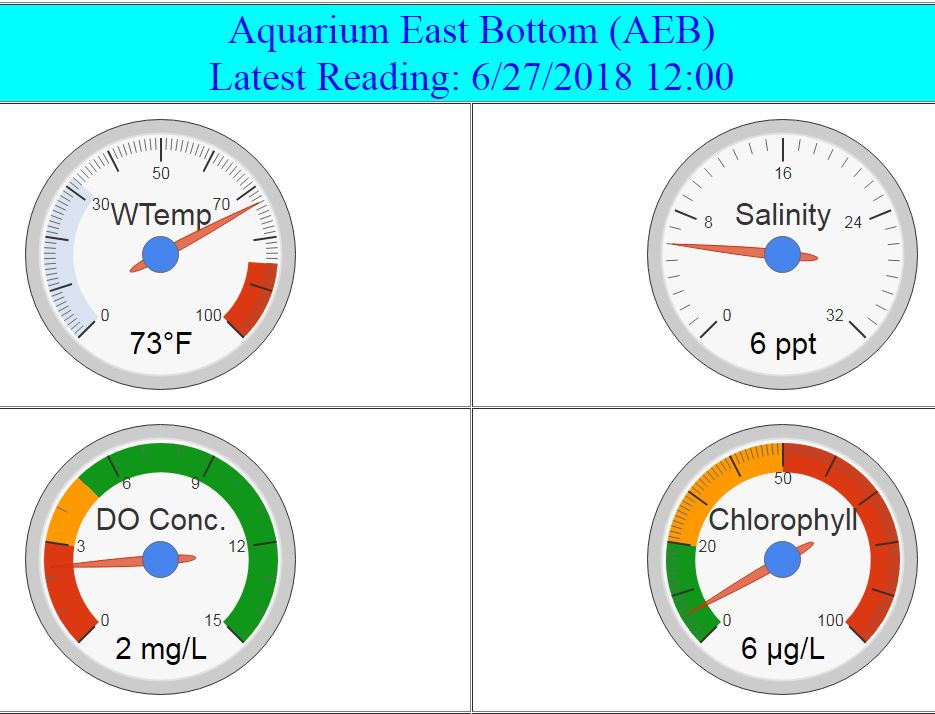 Continuous Monitoring Real-time Data Gauges