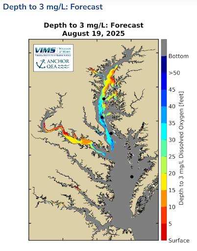 Example Forecast map of the Chesapeake Bay for August 19, 2025. Using a color-coded legend, the map predicts the movement of low-oxygen water for the following day. It shows extensive red and orange zones in the upper Bay and western tributaries, warning watermen that severe hypoxia is forecasted to remain dangerously close to the surface at depths of 5 to 10 feet.