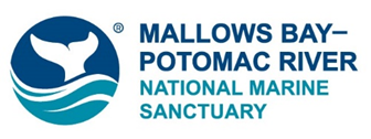 Mallows Bay logo
