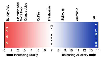 pH scale chart showing acidic, neutral, and basic levels