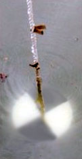 A black and white patterned Secchi disk used for measuring water clarity
