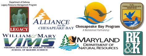 Logos of collaborating partner organizations who produced this key