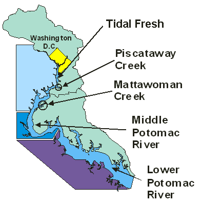 Potomac River Map of Tributaries