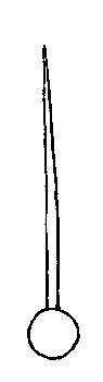 Illustration of alternate simple leaf structure