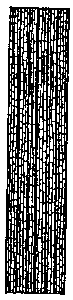 Illustration of Sparganium species basal leaf structure